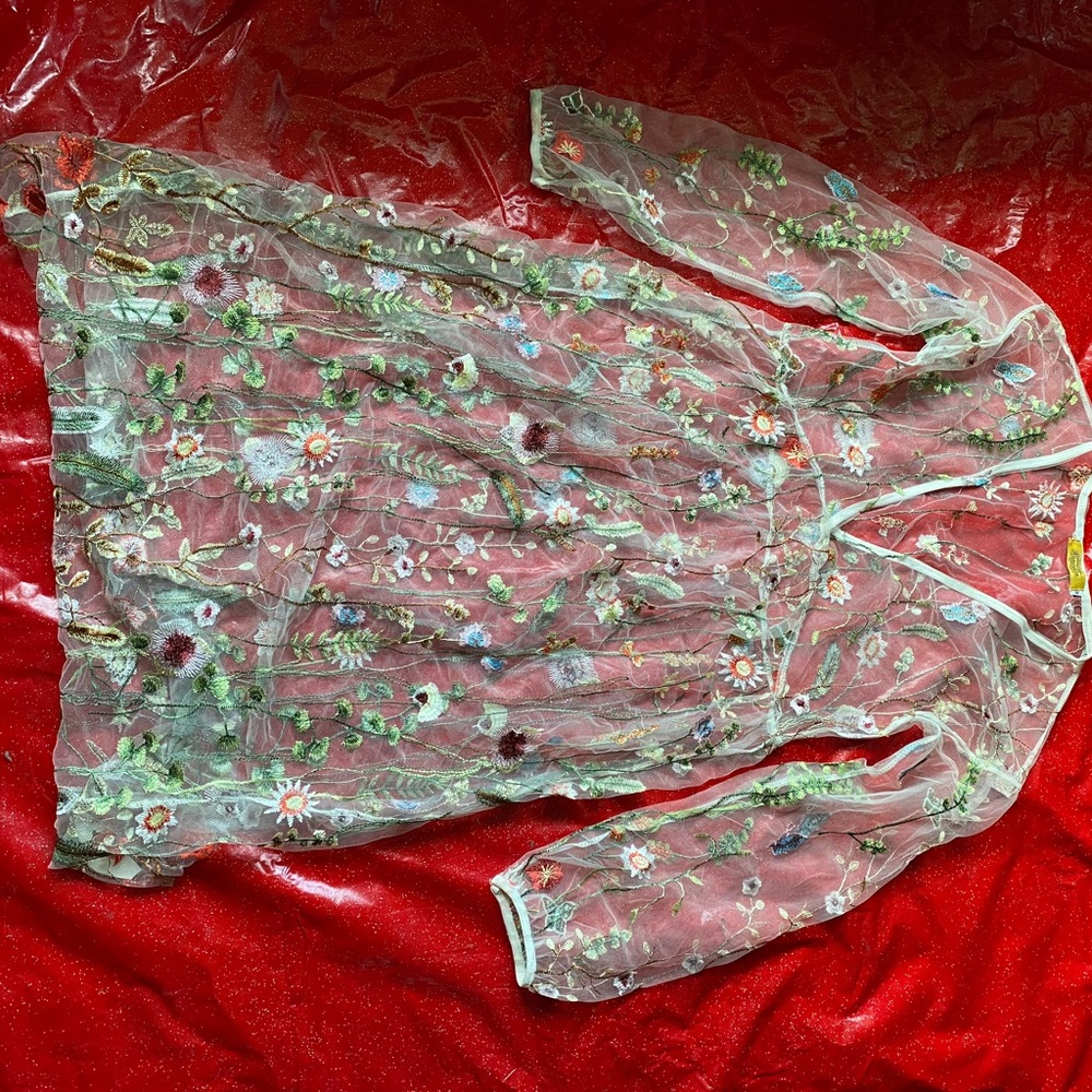Floral Embroidered Sheer Dress